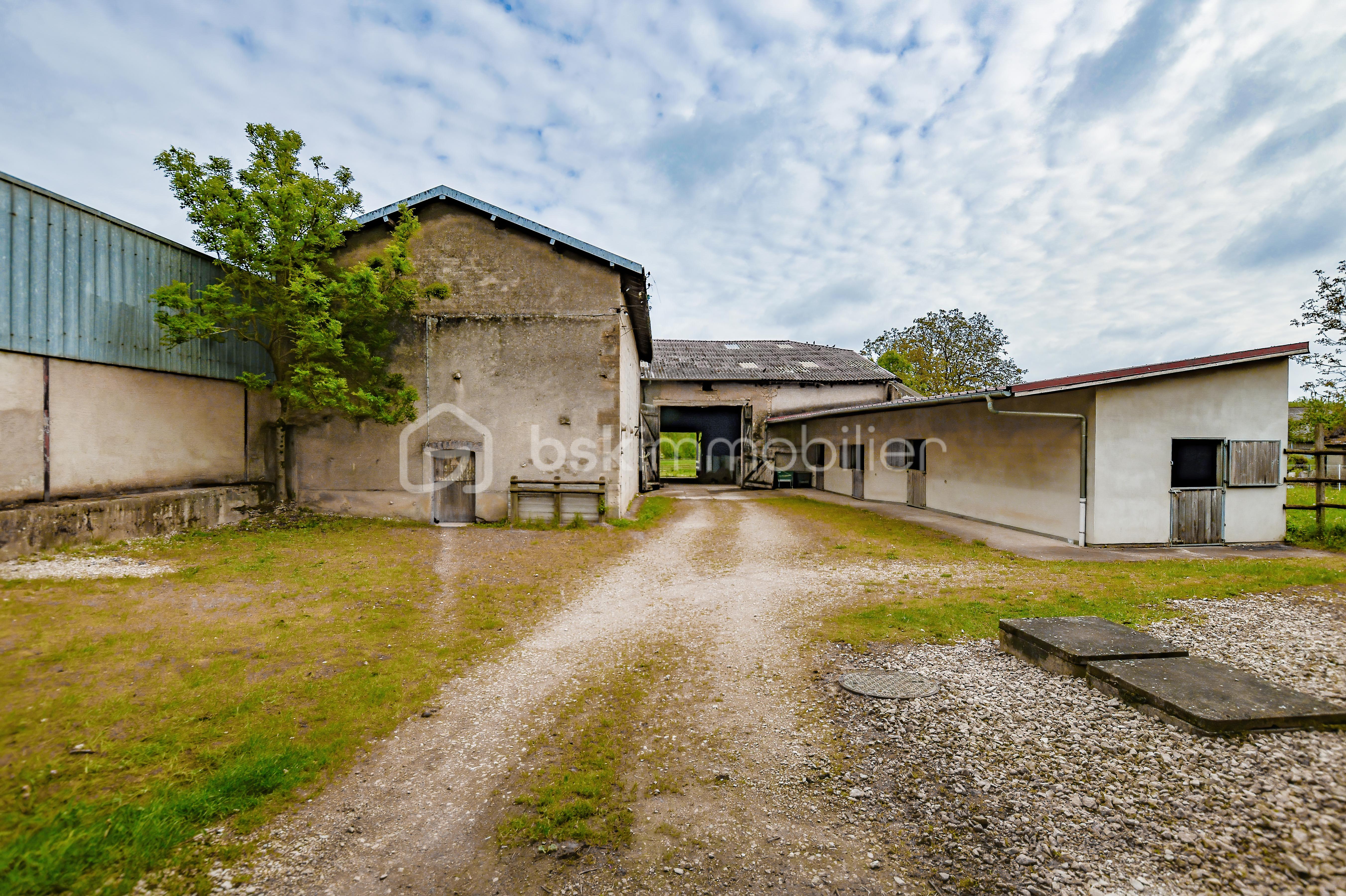 Haras de Fleury58.jpg