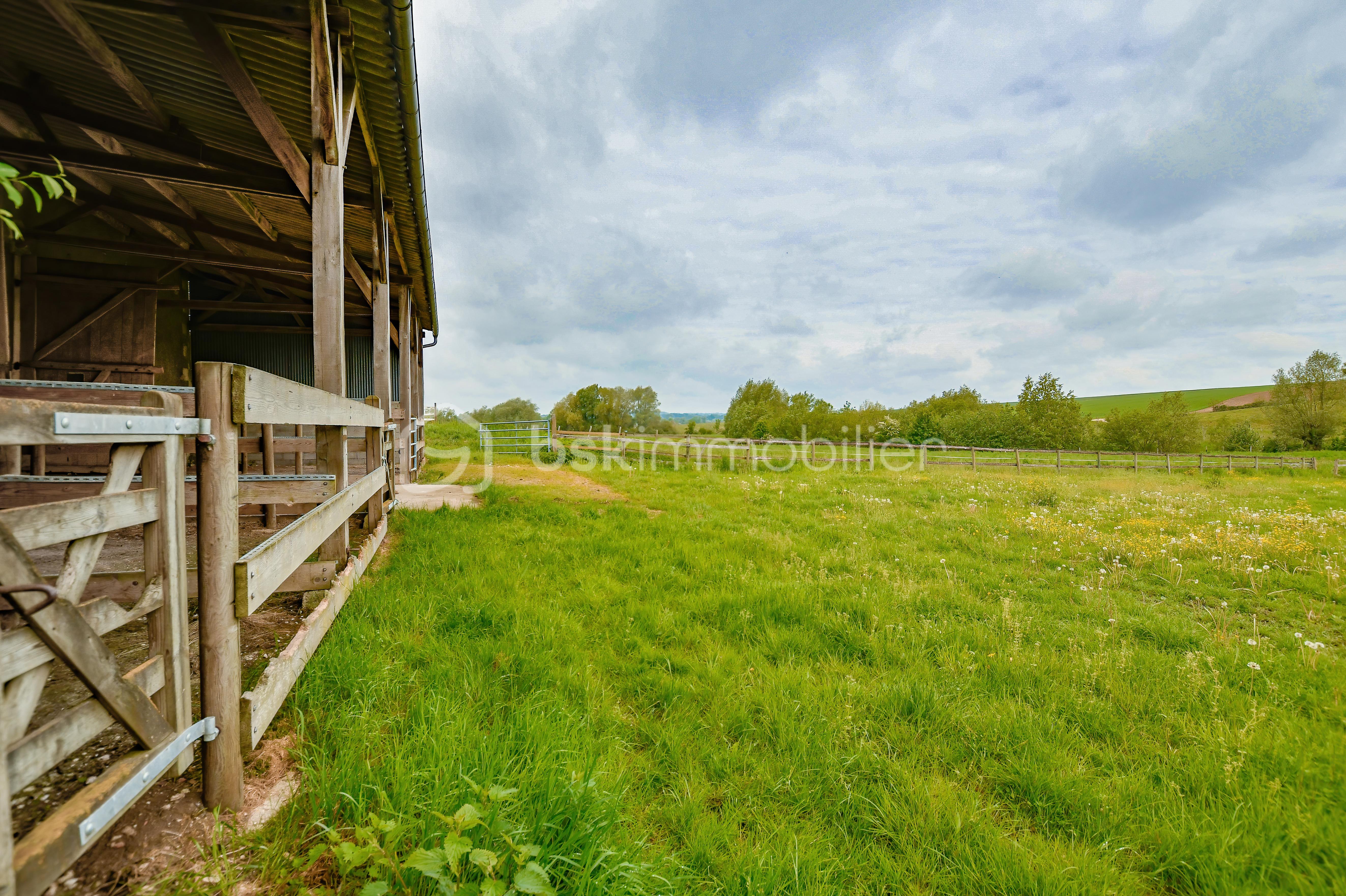 Haras de Fleury68.jpg