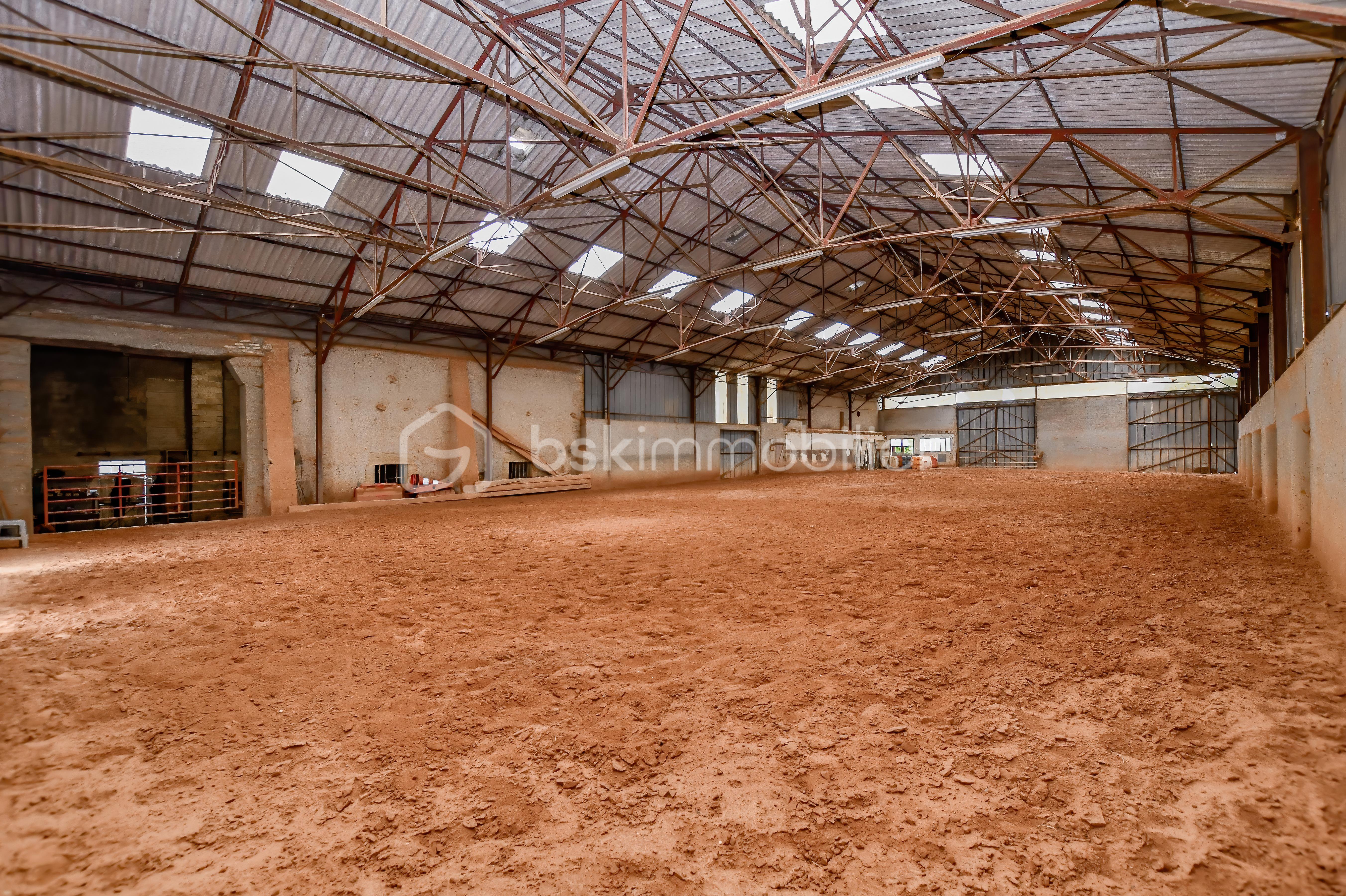 Haras de Fleury37.jpg