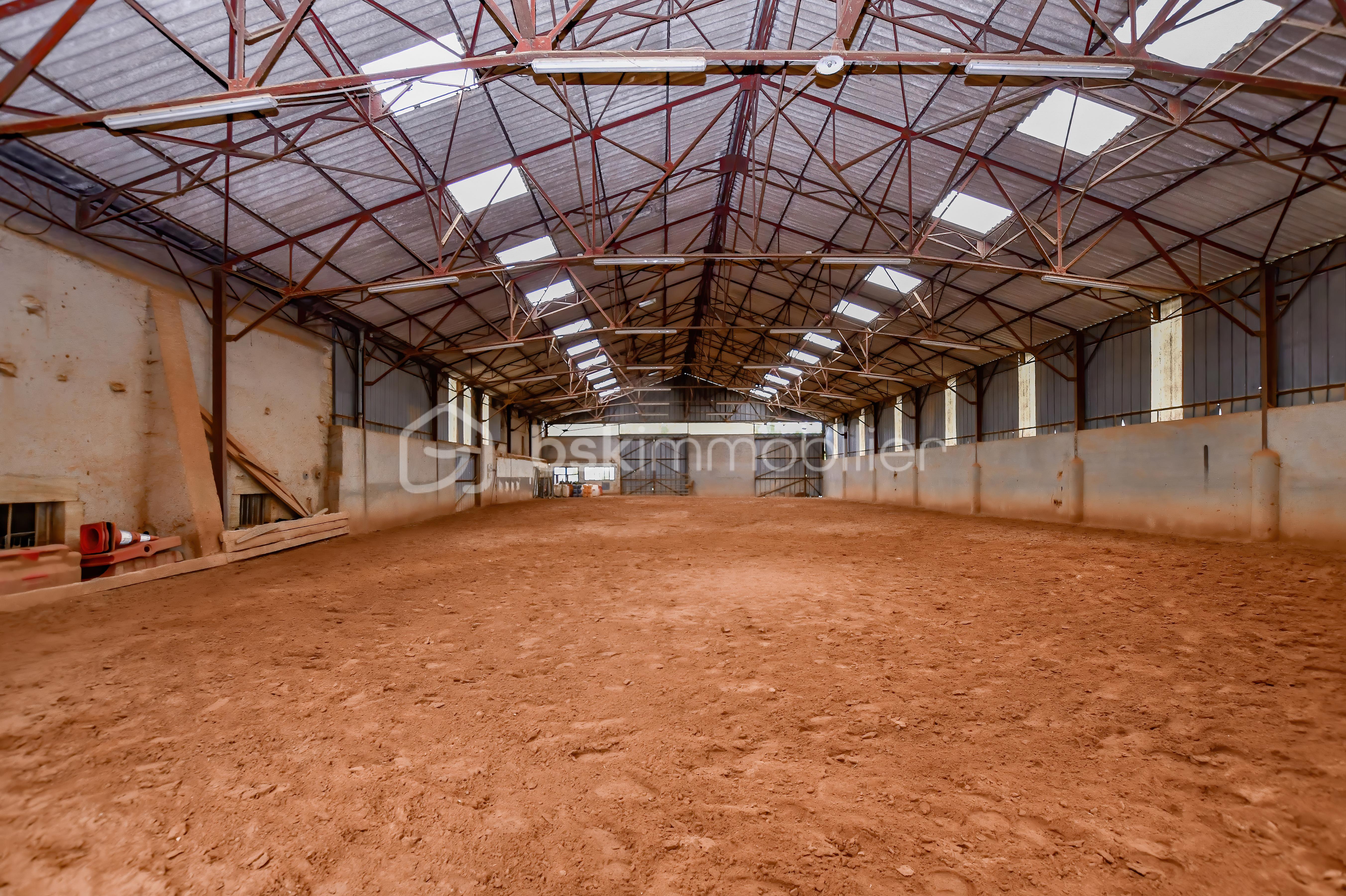Haras de Fleury36.jpg