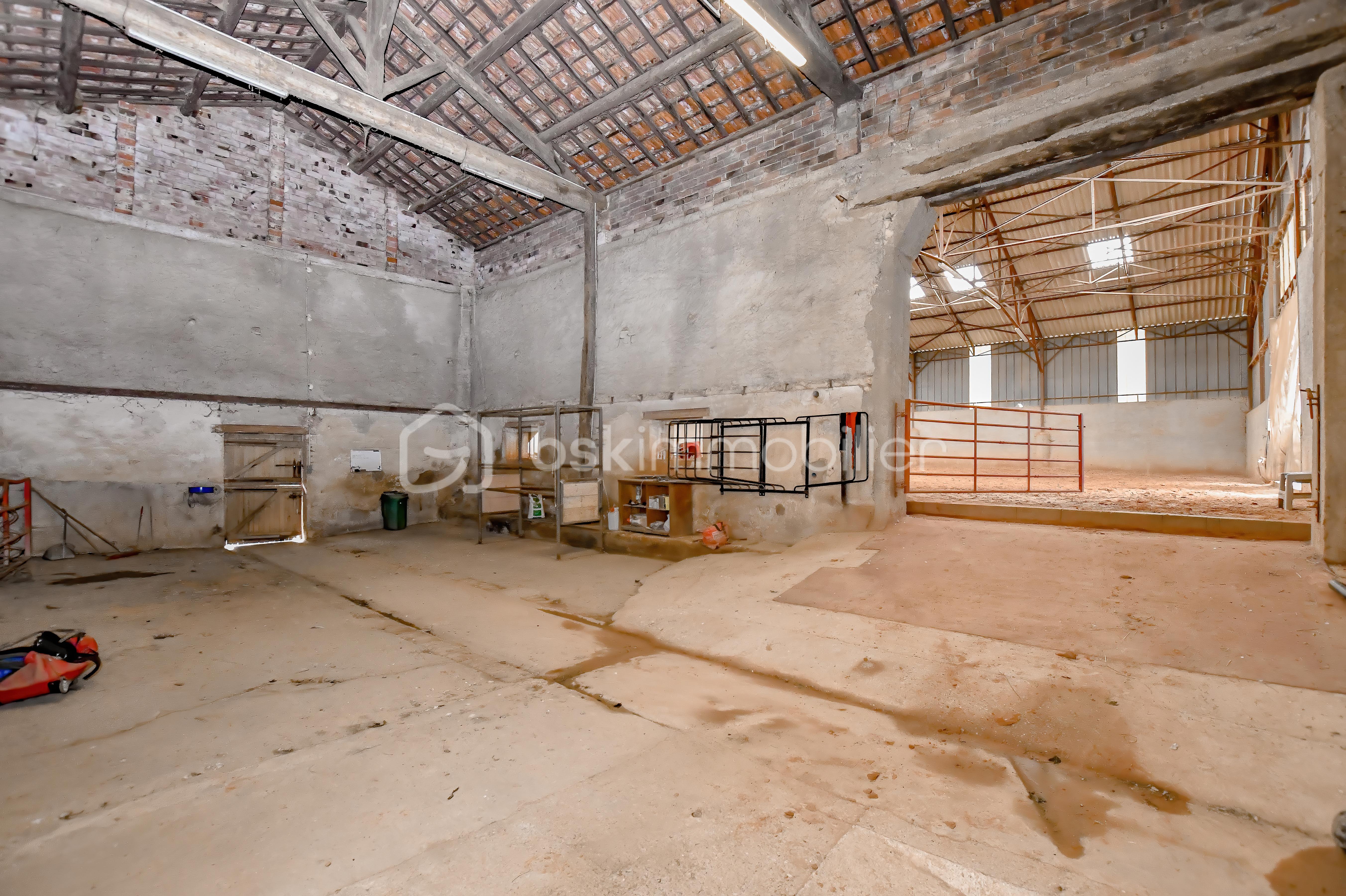 Haras de Fleury34.jpg