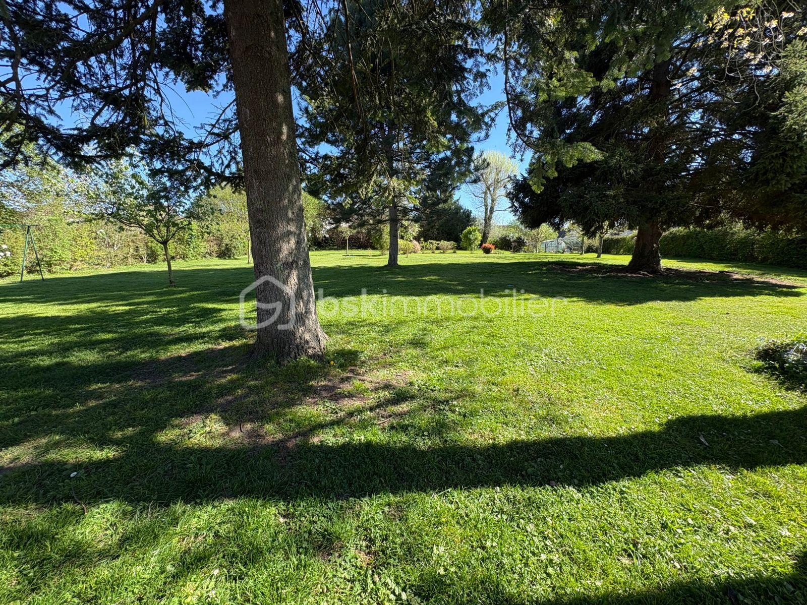 jardin.jpg