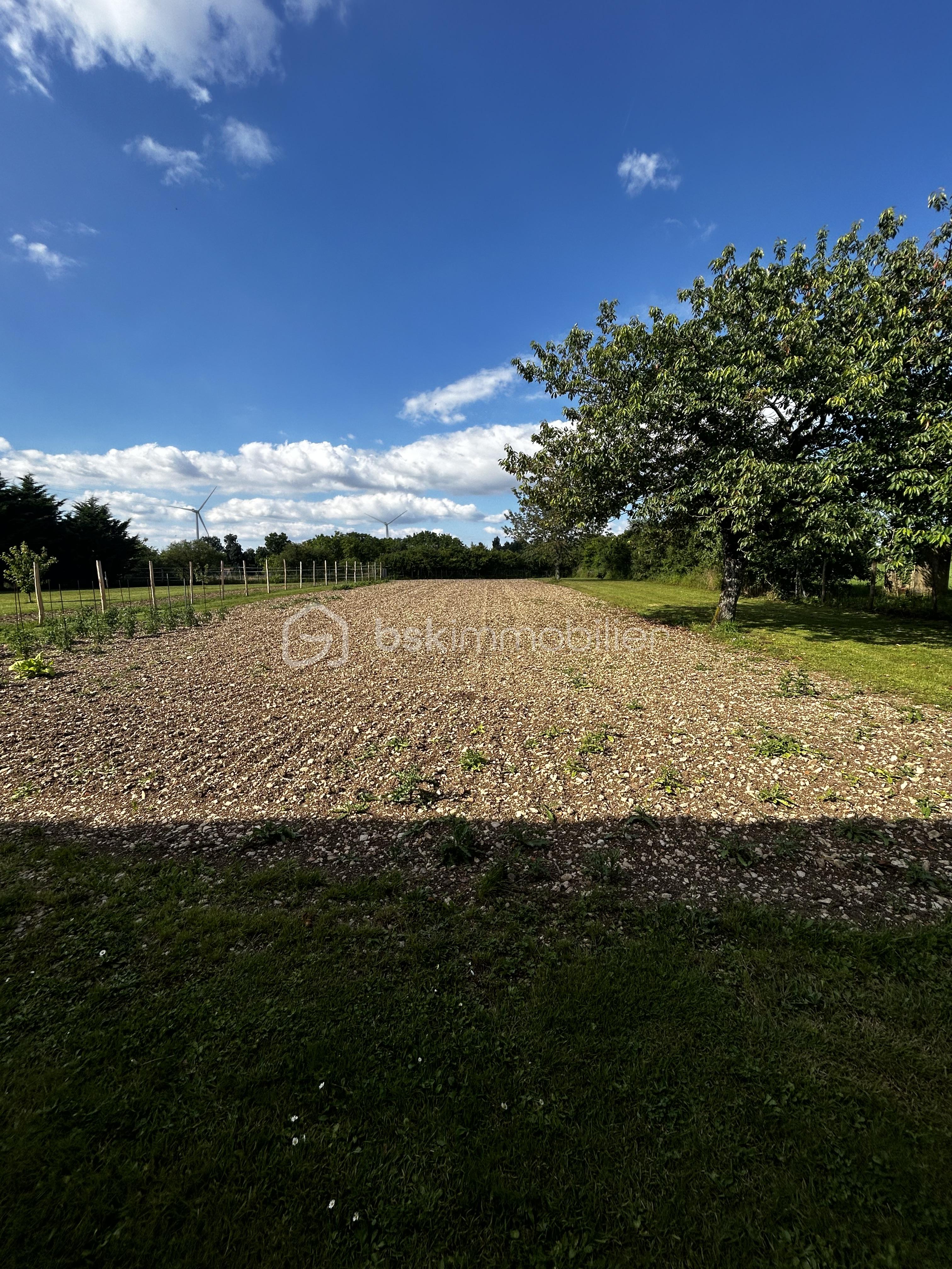 potager.jpg