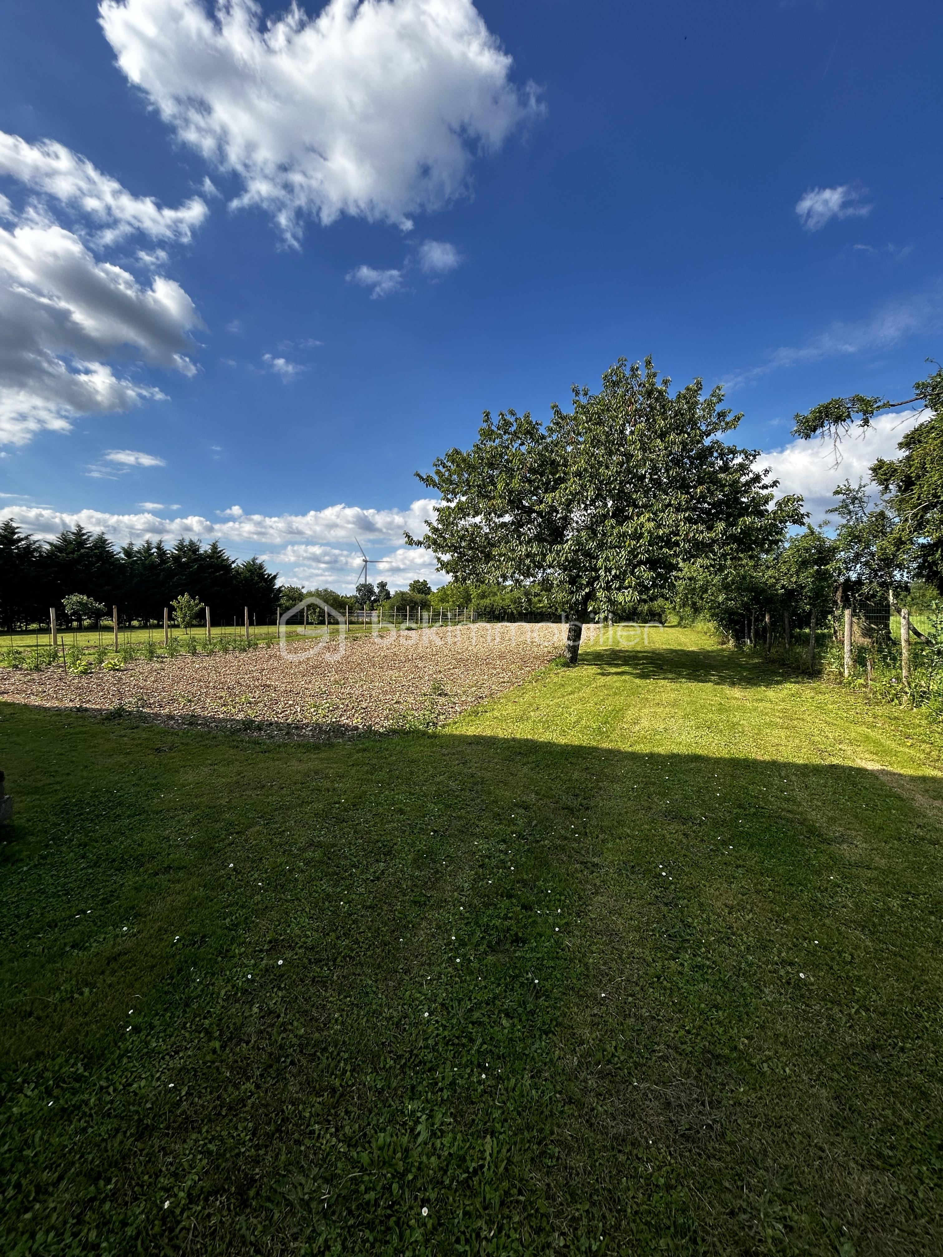 jardin.jpg