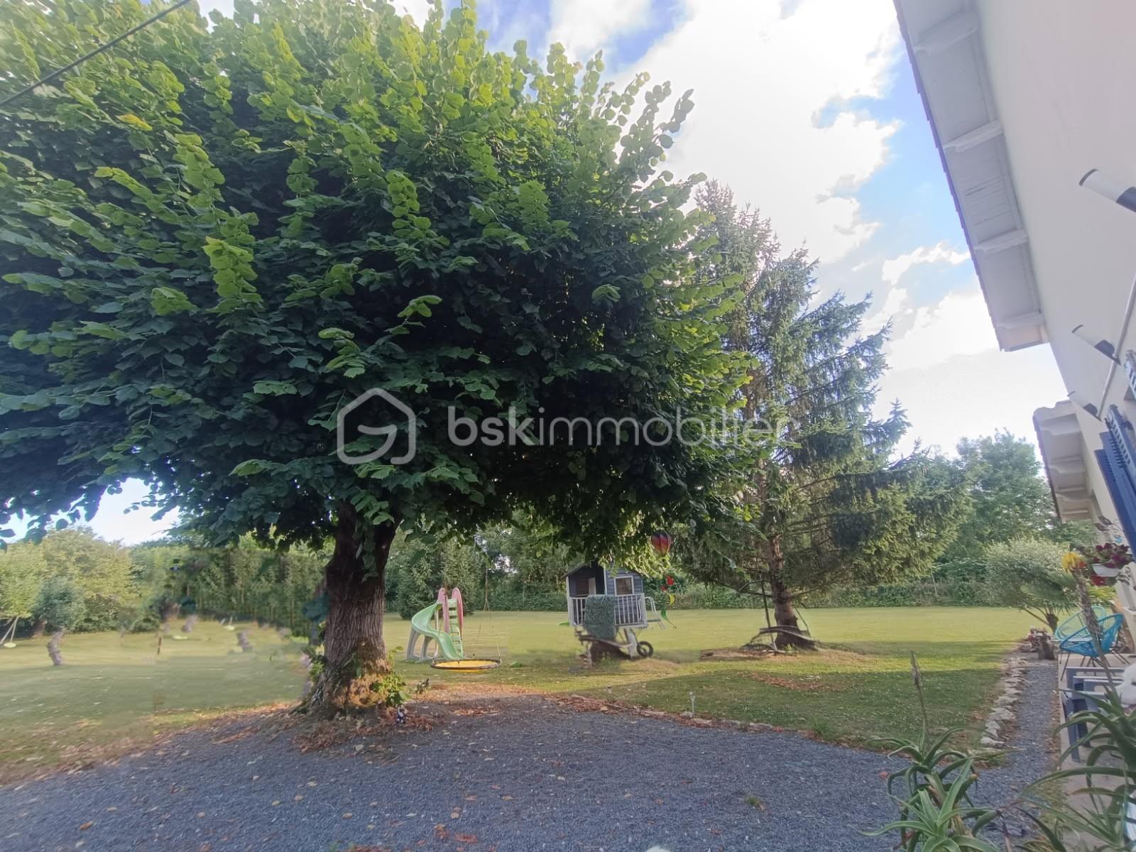 JARDIN 14.jpg