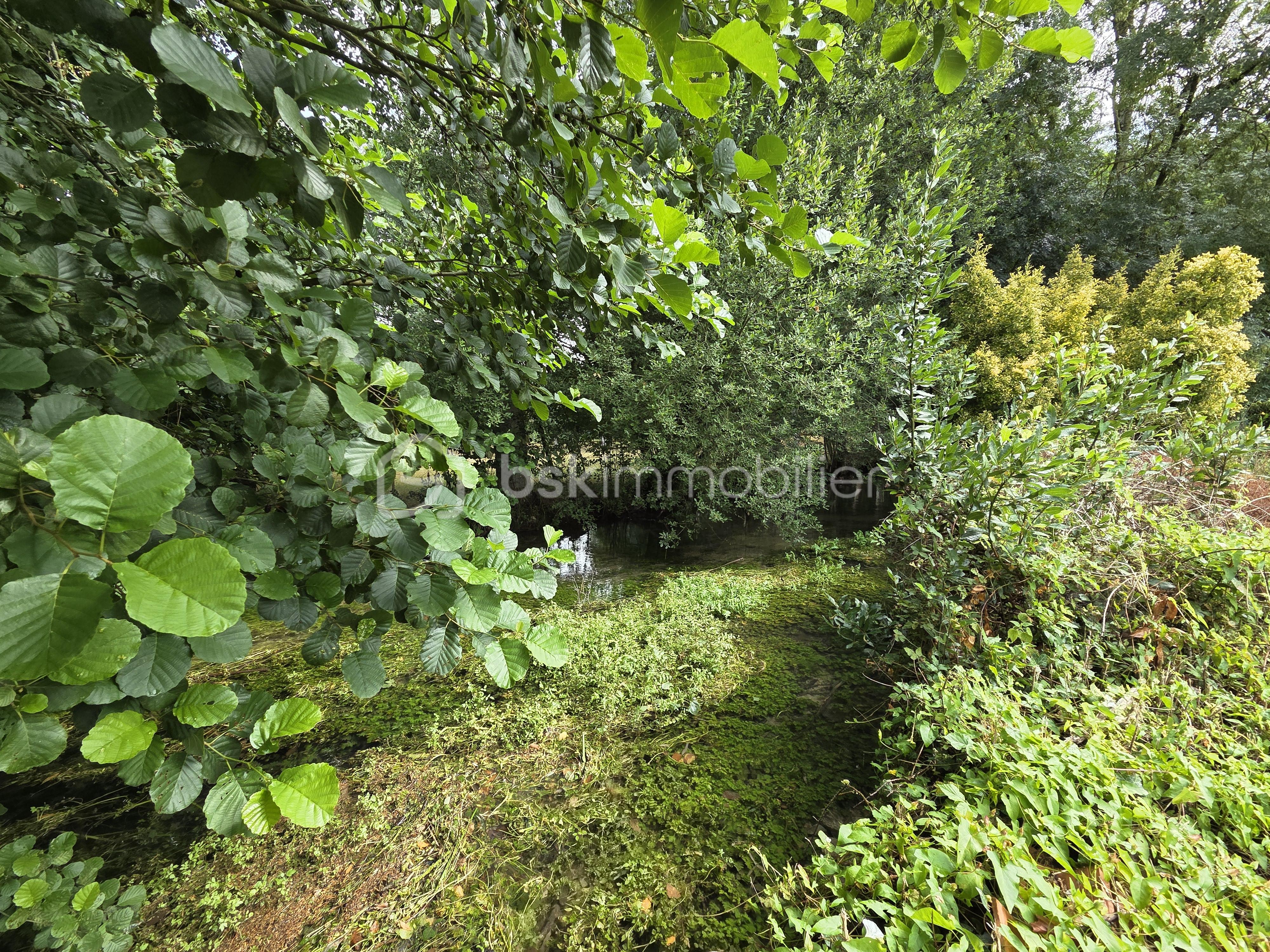 Maison ancienne de 234 m² - JARDIN 3.jpg