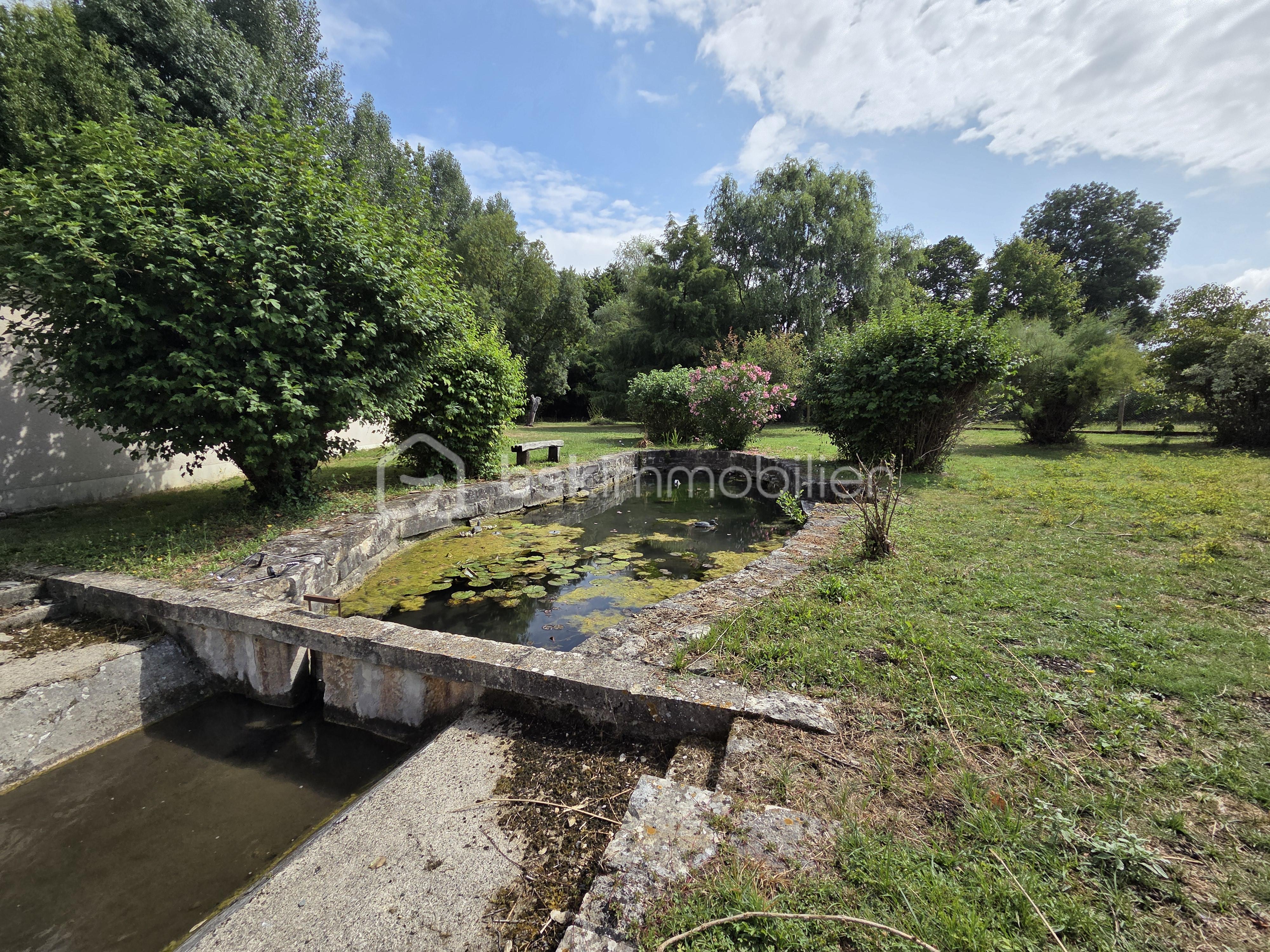 Maison ancienne de 234 m² - jardin 1.jpg
